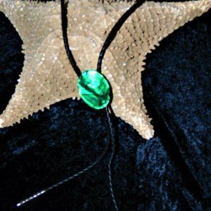 Beautiful Abalone Soft Leather Pendent Necklace d3
